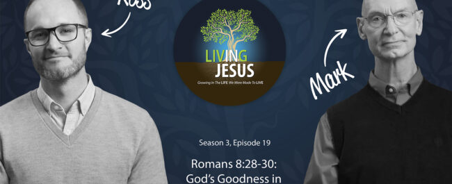 Romans 8:28-30: God’s Goodness in Every Moment, Season 3, Episode 19